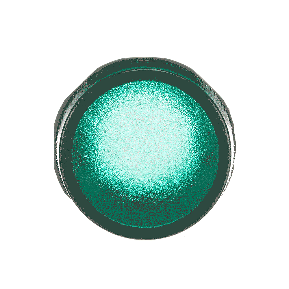 ML1-100G