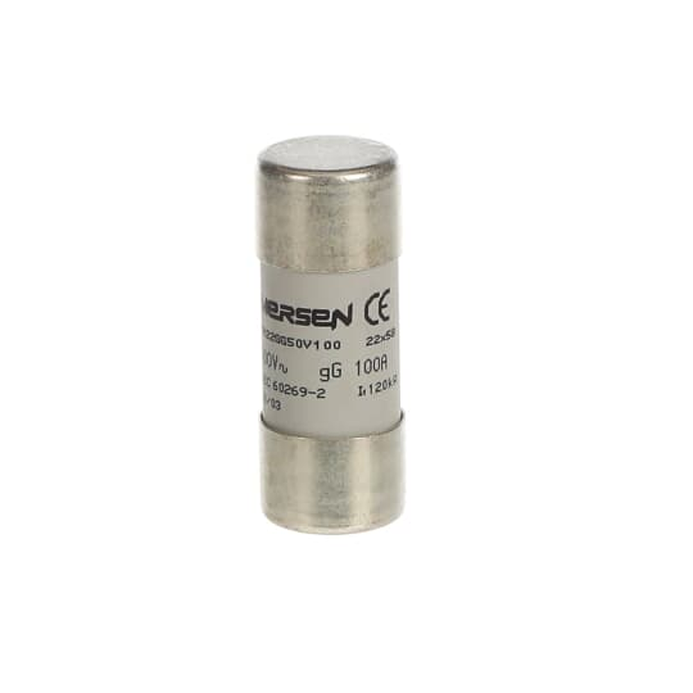FUSIBLE E 9F22 GG100
