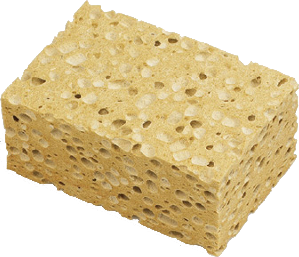 EPONGE VEGETALE 14X9X6CM