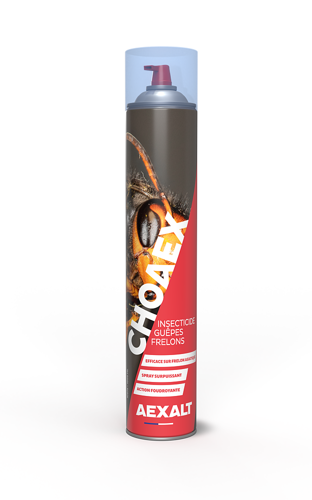 INSECTICIDE SPECIAL GUEPE ET FRELON CHOAEX