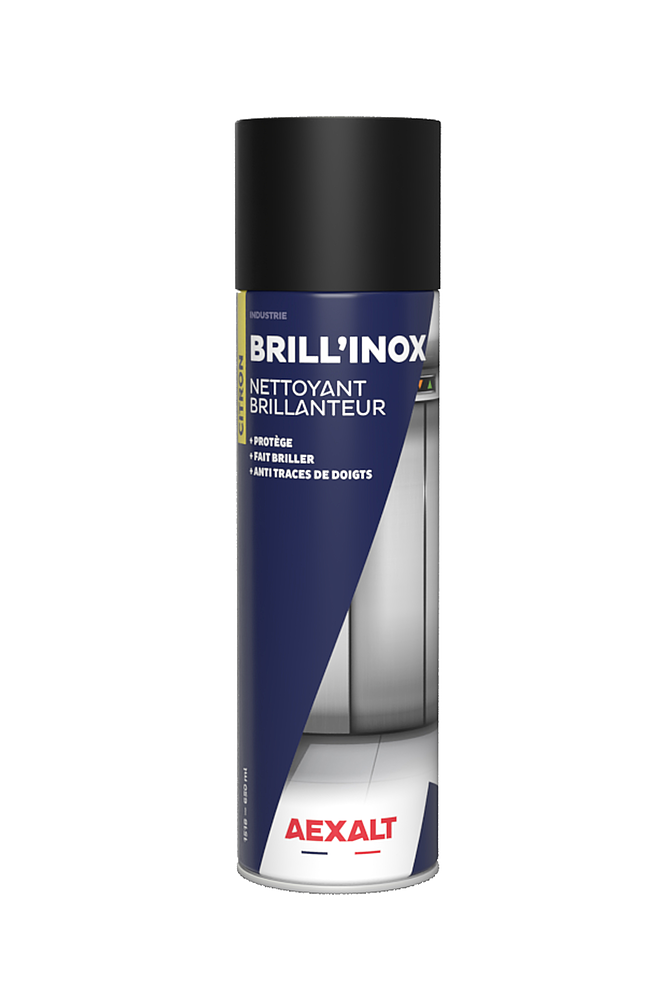 BRILLANTEUR INOX  BRILL'INOX 650ml