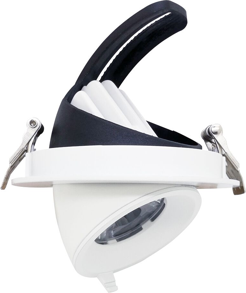 DOWNLIGHT SAMBA BLANC 30W ZIG