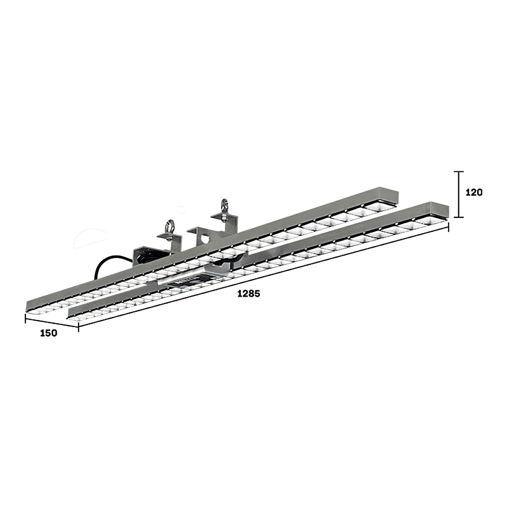 ABSOLUE DOUBLE 104W