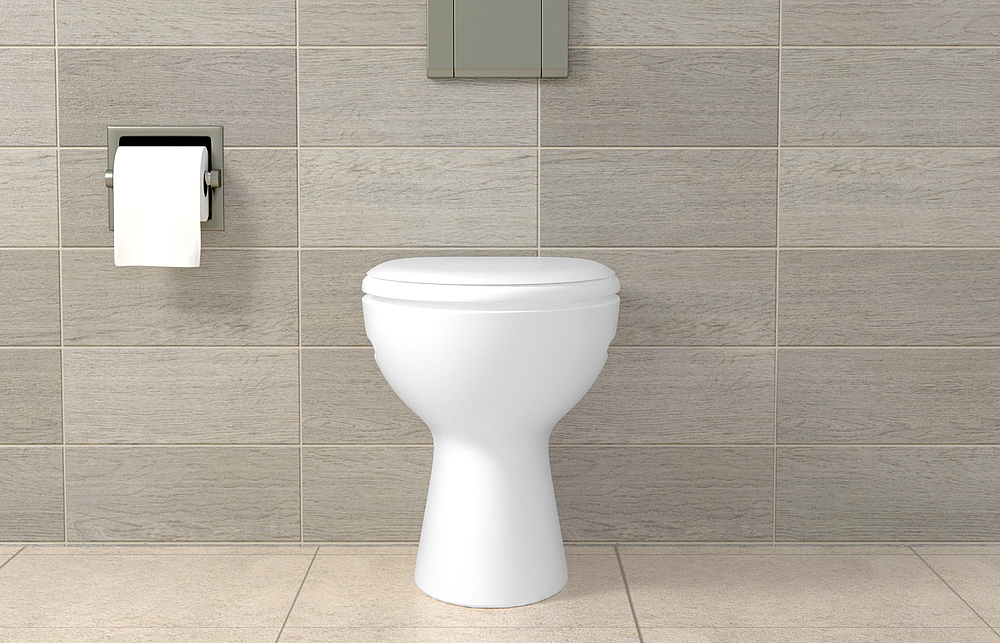 Fixation pour WC WCN 1 pièce