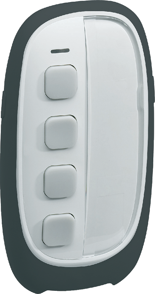 Téléco 2x4 fct Alarme / QL