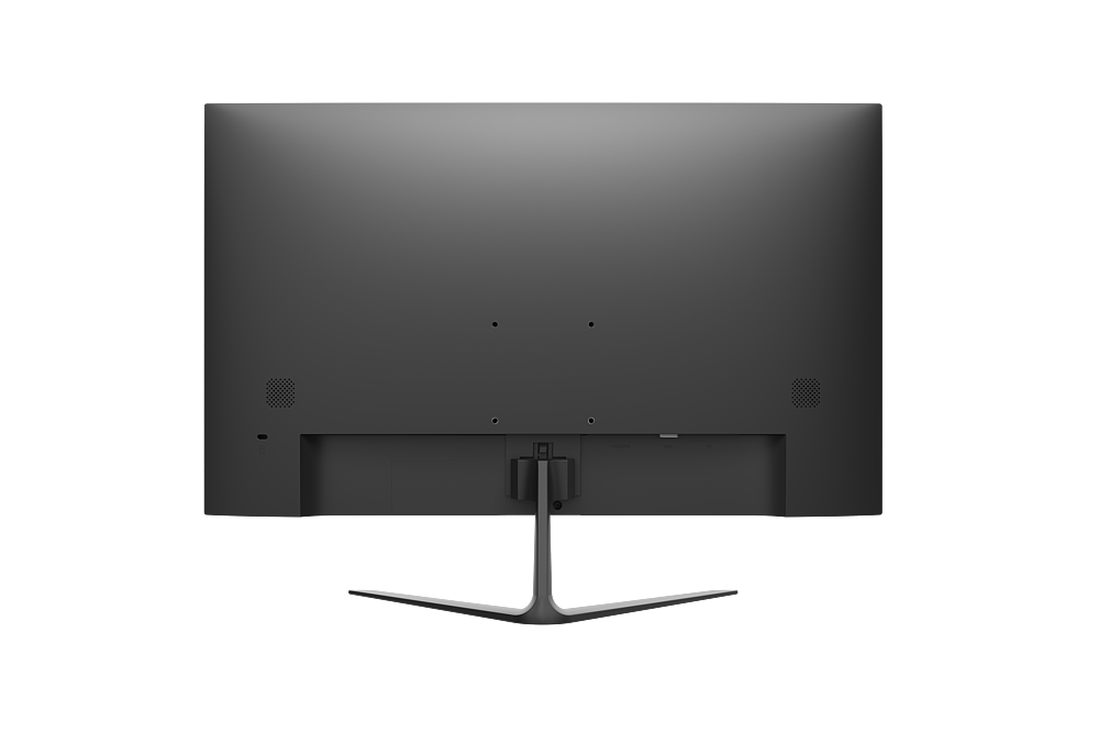 DS-D5024F2-BV2S-EU