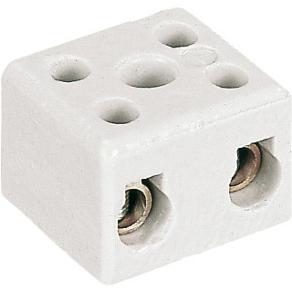 Domino porcelaine 2P 10 mm²EAN