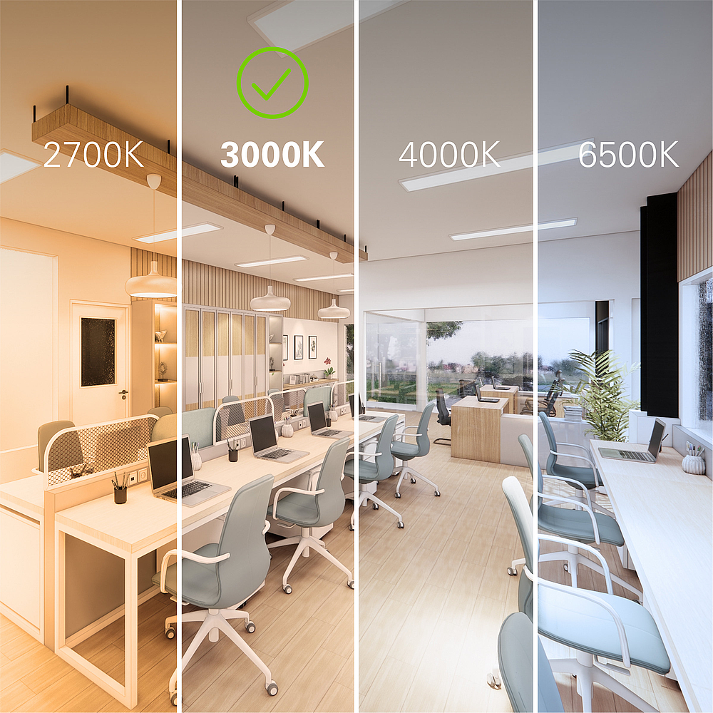 MZD LED 50W GU10 827 36D ND 1C