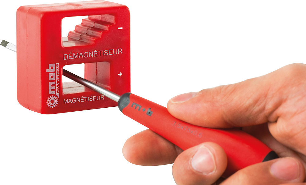 MAGNETISEUR