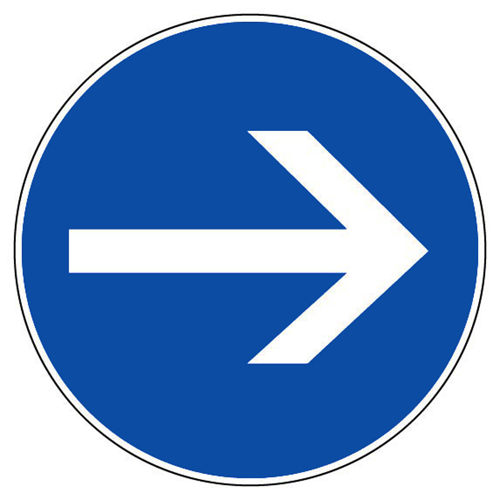 DISQUE D.300 MM SENS OBLIGATOIRE