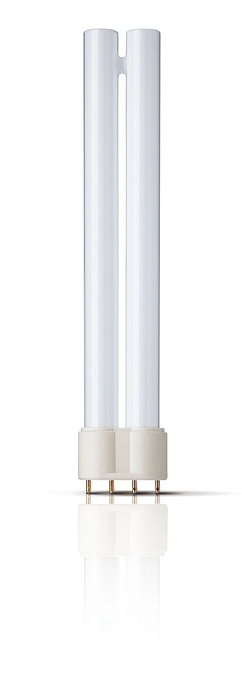 Insect PL-L 36W /10