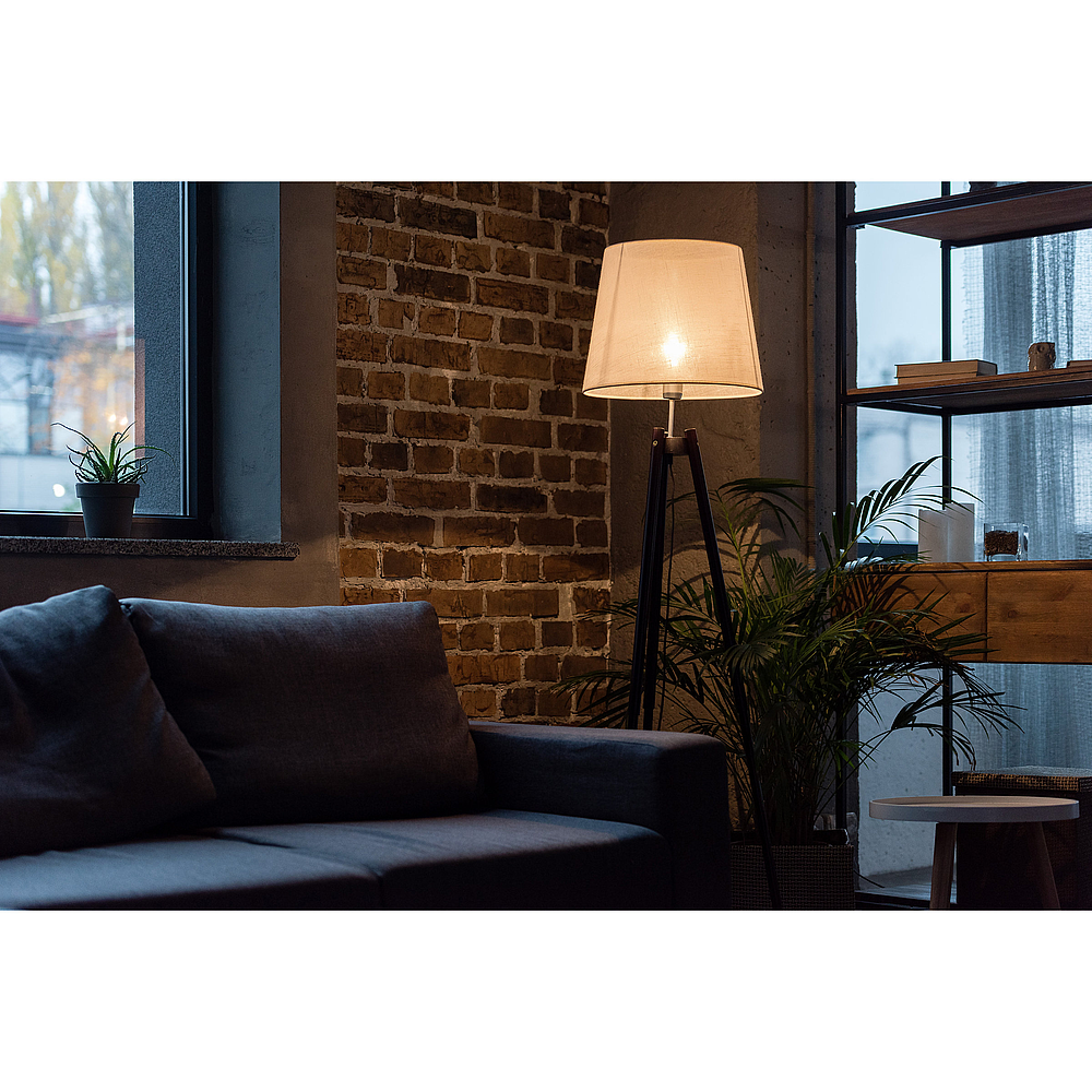 MASLEDbulb DT 14-100WE27 927-9