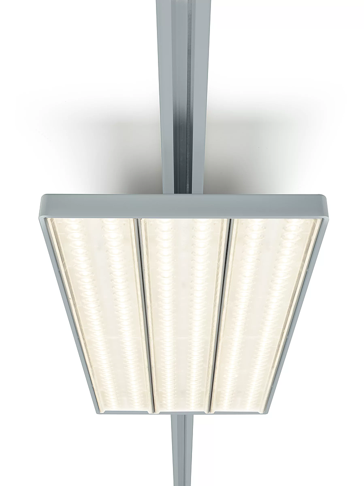 LL121X LED80S/840 1x PSD A 7 W
