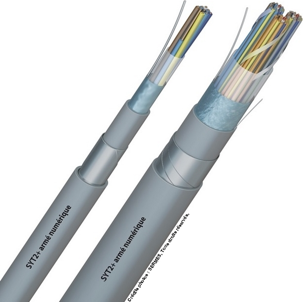 SYT1 5P  0,813 AWG20 GR FAST *COUPE*