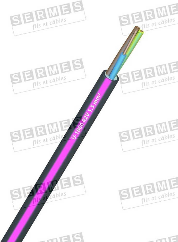 R02V 2X1,5         *T1000*