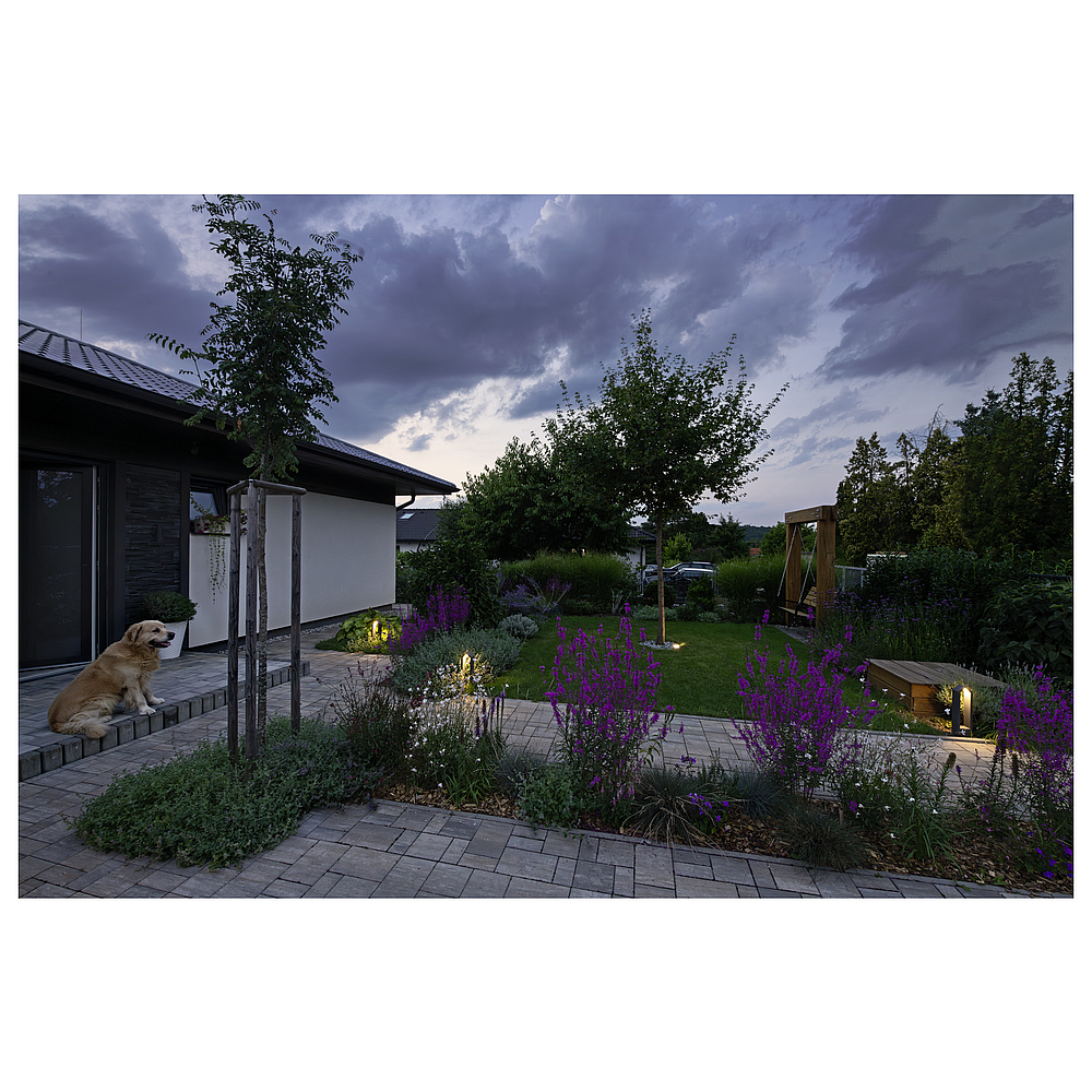 DASAR FLAT 230V LED, rond