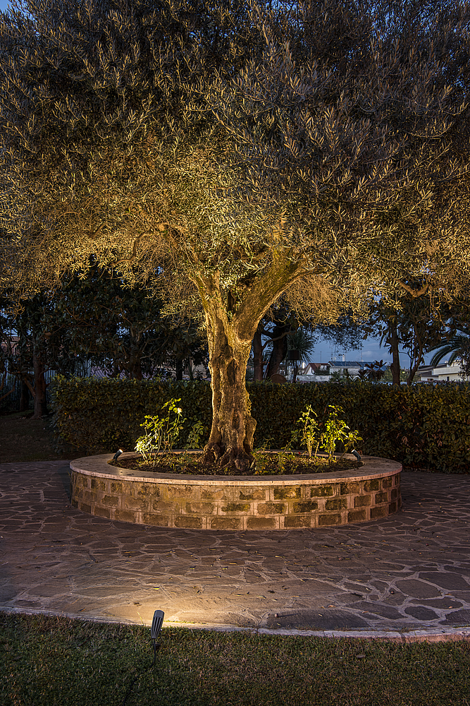 SYNA spot piquet anthracite