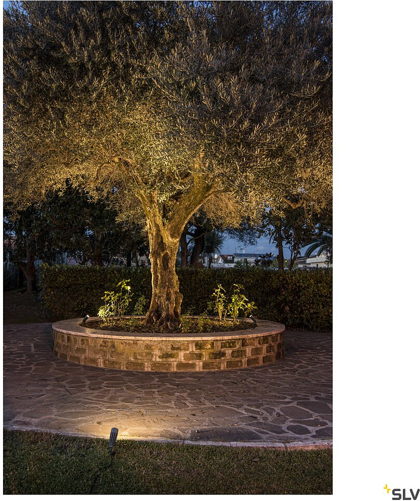 SYNA spot piquet anthracite