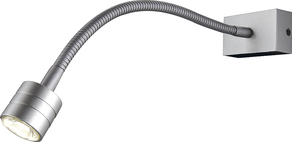 IVED GOOSE PATERE, gris argent