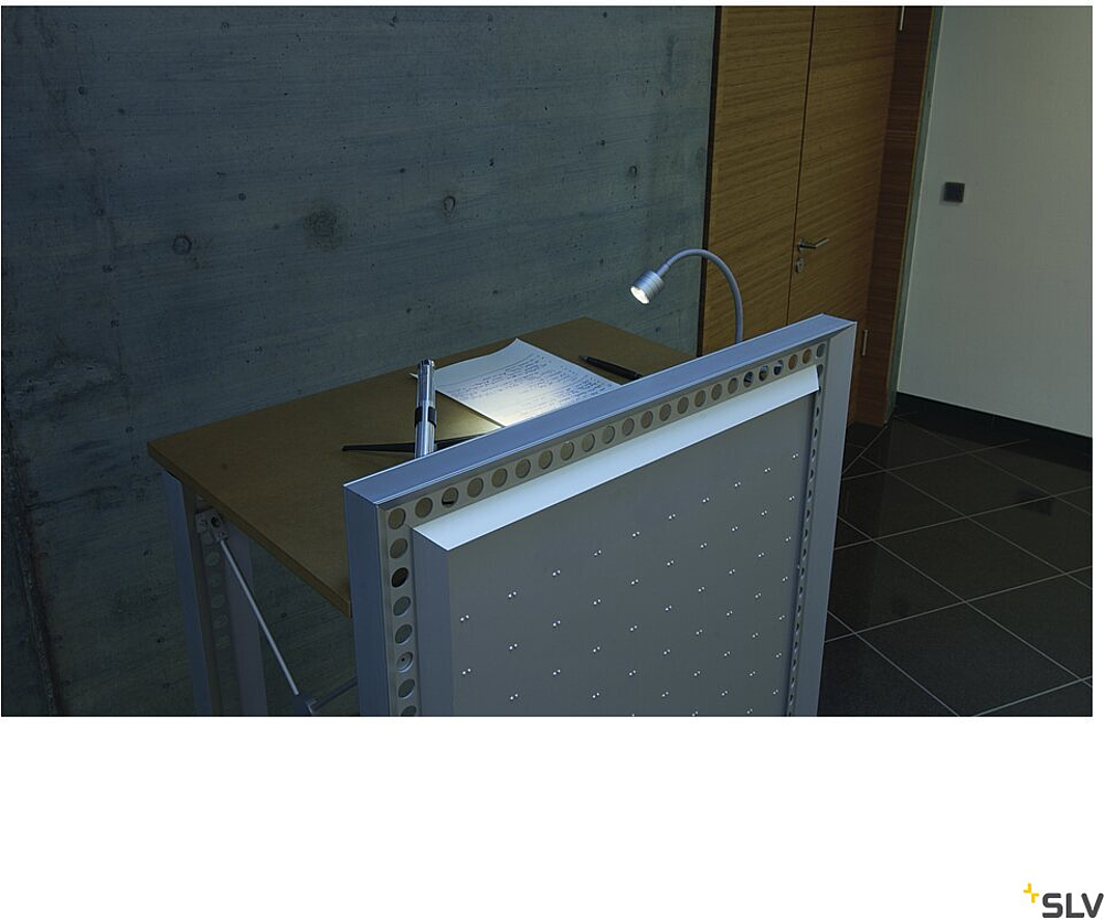 IVED GOOSE PATERE, gris argent