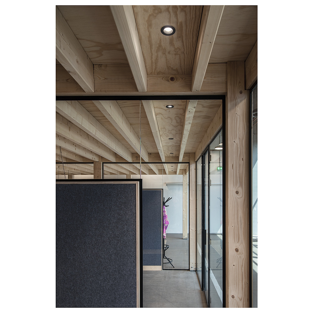 NUMINOS S enc 55° noir 3000K