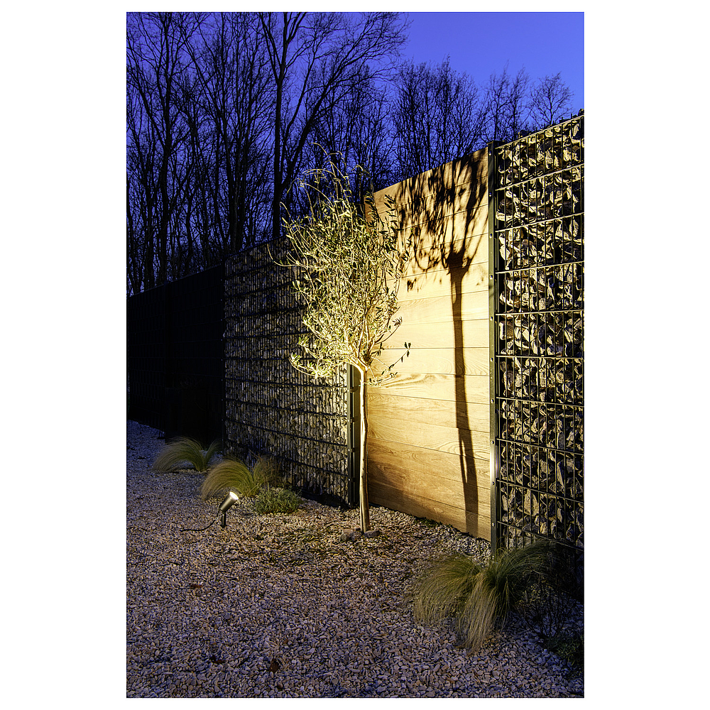 SYNA PLANT Spot sur piquet 3k