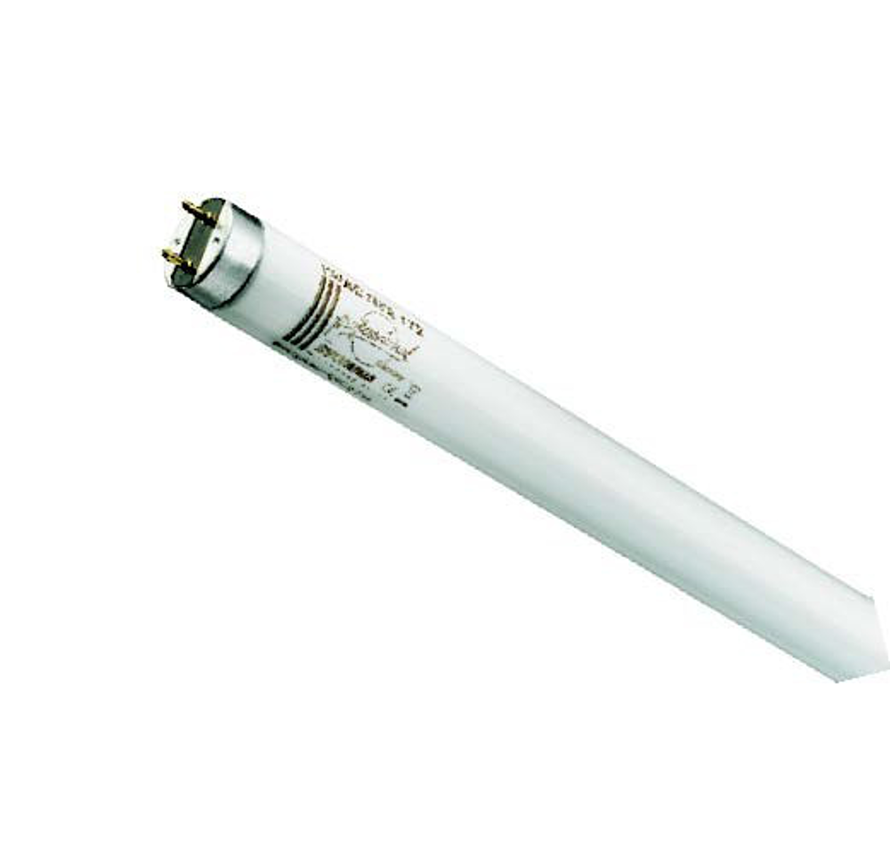 F70W/T8/172 SYL-ACTIVA