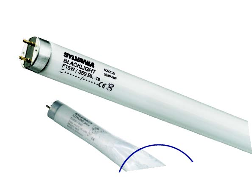 F15W/T8 BL QUANTUM FEP